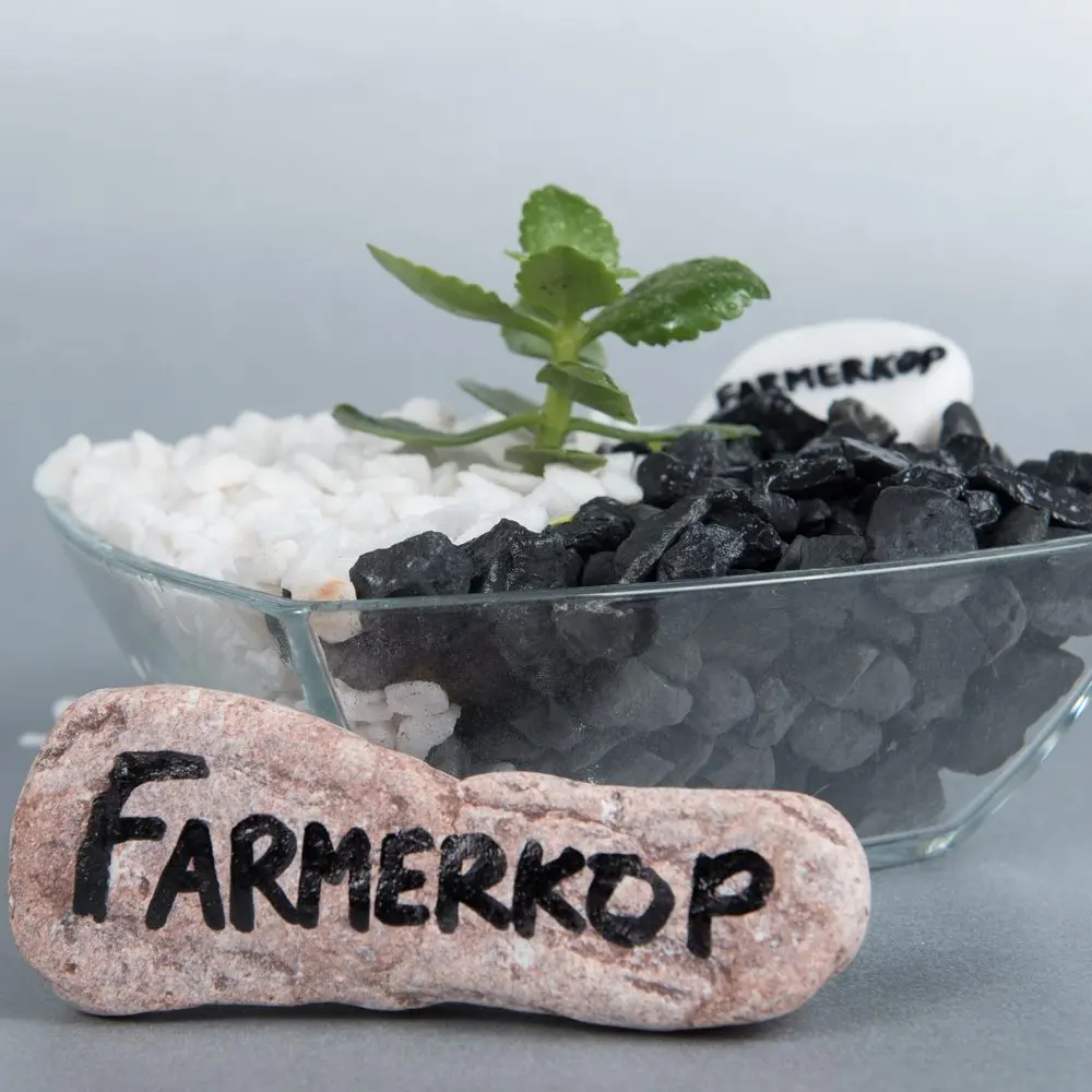 Bela i crna rizla sa sukulentom i crvenim kamenom sa natpisom Farmerkop